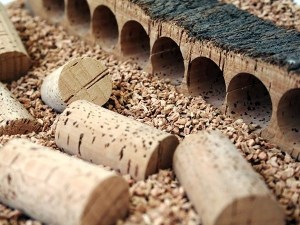 История корковой пробки.